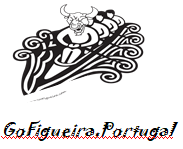 GoFigueira Ltd