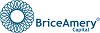 BriceAmery Capital Ltd
